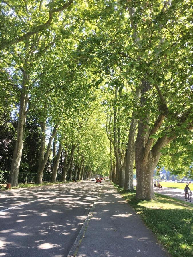 Center 2 Steps From The Cozy And Renovated! Apartment Annecy